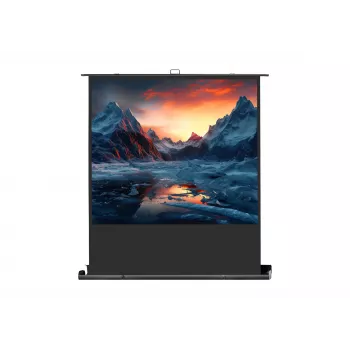 celexon Professional mobile plus Projektionsleinwand, 63 inch (161 cm)
