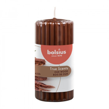 Bolsius True Scents Duftkerze Zylinder Ø58 x 120 mm, Oud Wood