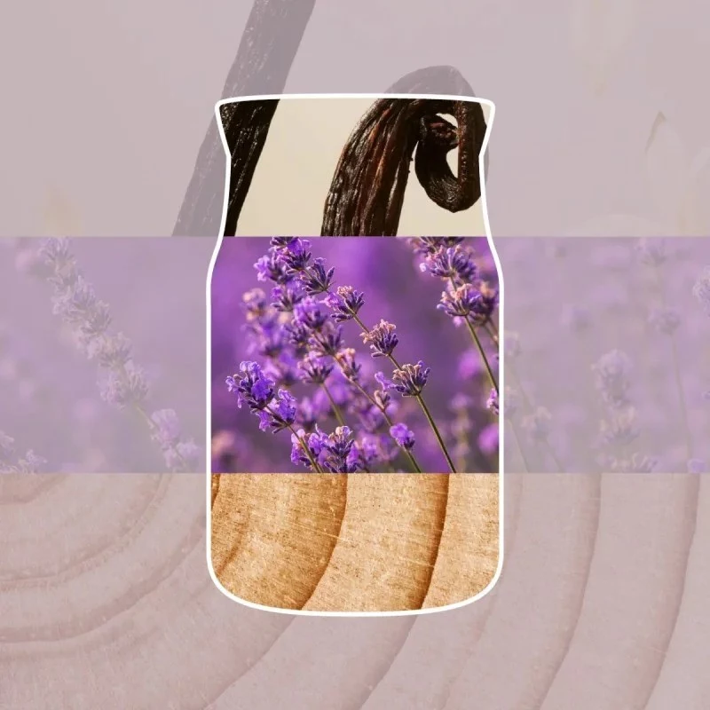 Yankee Candle Dried Lavender & Oak Kerze, mittel
