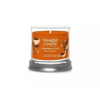 Yankee Candle Cinnamon Stick Tumbler-Kerze mit 1 Docht