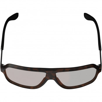 Leatt TheViz Andes Polarized Fahrradbrille, braun