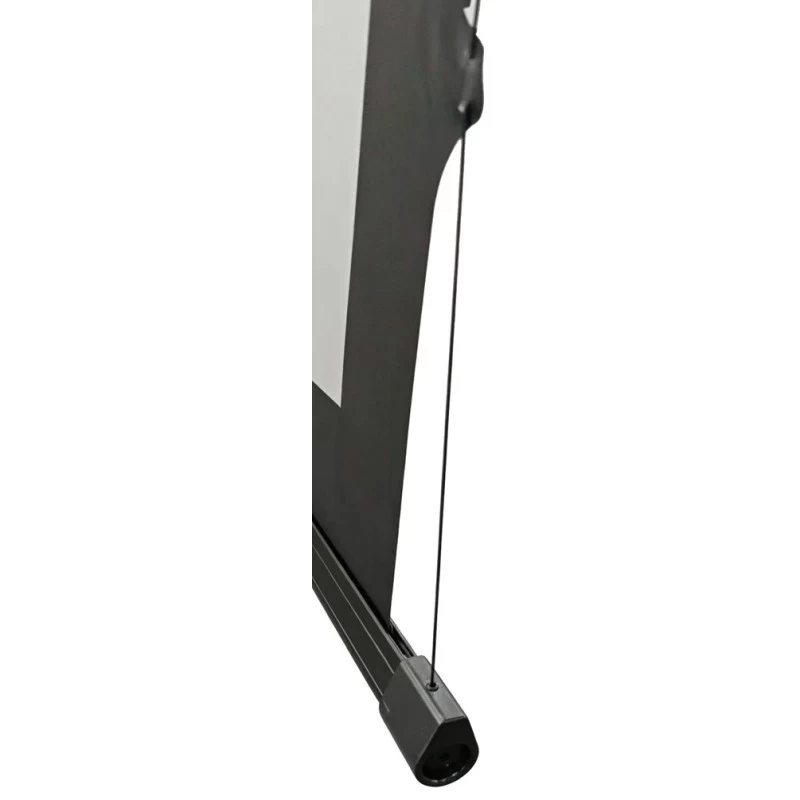Reflecta TensioLine ALR Motor RC 87800 motorisierte Leinwand, 229x158 cm, 16:9