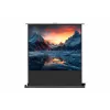 celexon Professional mobile plus Leinwand, 51" (131 cm)