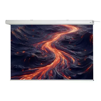 celexon Expert Motorleinwand, 130" (330 cm), 230 V