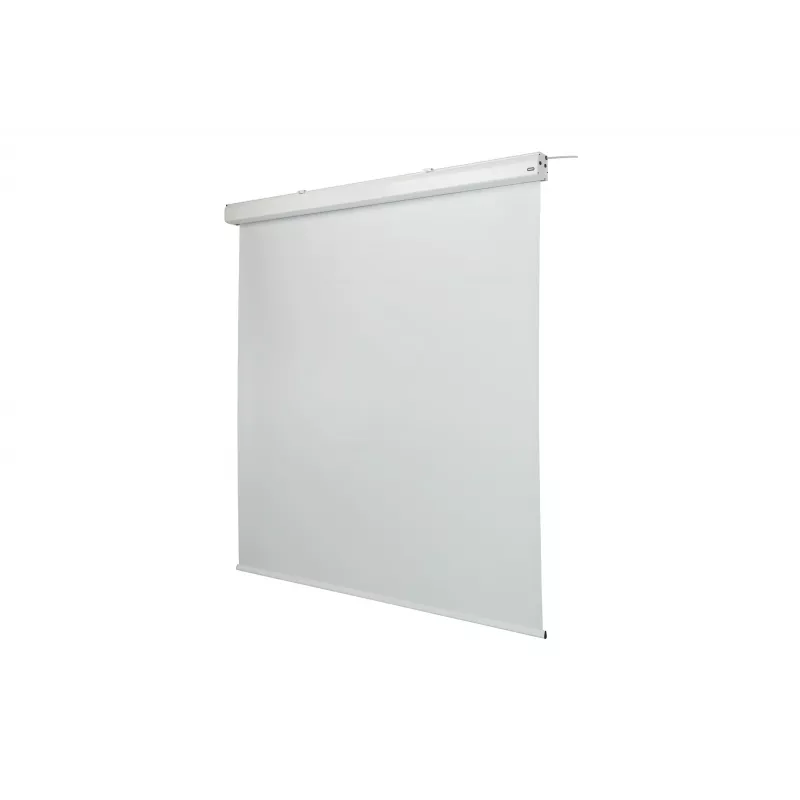 celexon Expert Motorleinwand, 130" (330 cm), 230 V