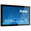 iiyama TF2234MC-B1X 21,5″ (55,9 cm) Multitouch-Monitor, 16:9, DVI