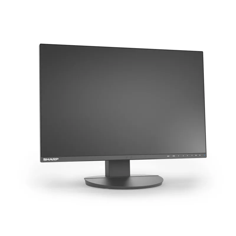 Sharp MultiSync EA241W 24-Zoll-IPS-Business-Monitor, 1920x1200, schwarz