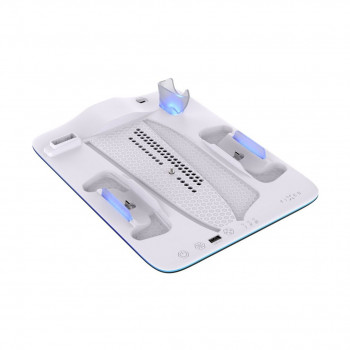 Fixed FIXPS5PS-MCS-BW Dockingstation für PlayStation 5, schwarz-weiß