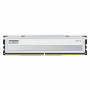 Klevv Fit V KD5AGU880-56K300Q DDR5-5600 CL30 16-GB-Speichermodul