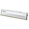 Klevv Fit V KD5AGU880-56K300Q DDR5-5600 CL30 16-GB-Speichermodul