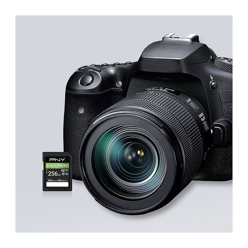 PNY EliteX-PRO60 SDXC-Speicherkarte 256 GB, UHS-II, Klasse 10, P-SD256V60280EXP6-GE