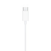 Tech-Protect Ultraboost Core G2 USB-C Kabel-Ohrhörer, Schwarz