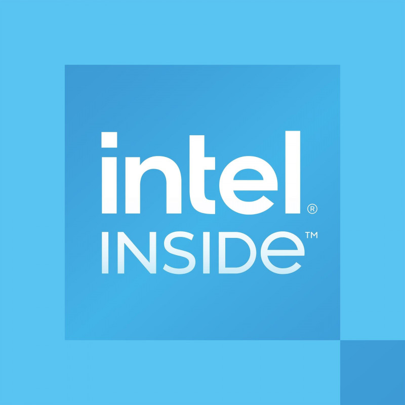 Intel Prozessor 300 für Desktop, 3,9 GHz, 2 Kerne, 4 Threads, 6 MB Cache, FCLGA1700, OEM (CM8071505091904)