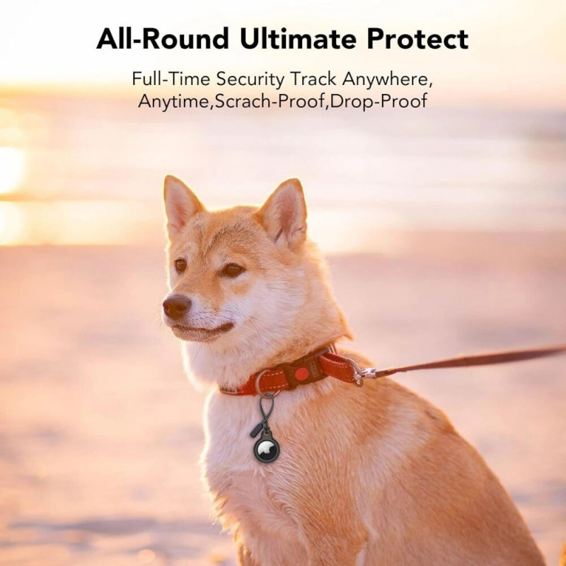Tech-Protect Rough Chain Schlüsselanhänger-Hülle für Apple AirTag, Schwarz (2 Stk.)