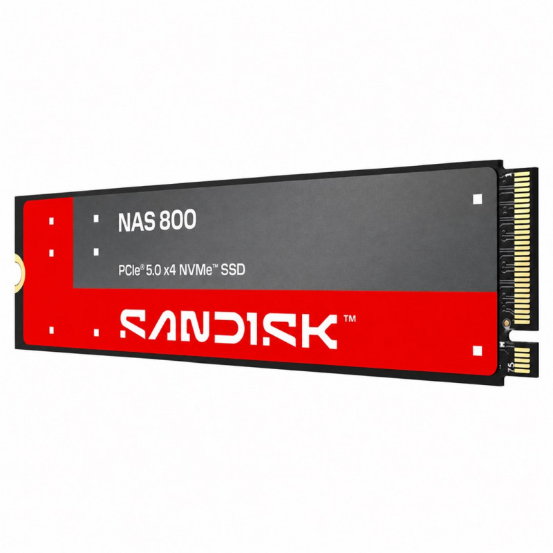 SanDisk NAS 800 1,92 TB M.2 2280 NVMe Gen 5 interne SSD (SDSNP2192TAN-000E0)