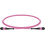 Lightwin MPO-12 Patchkabel OM4, 12F, UPC Buchse-Buchse, Type B, 0,5 m, LSZH