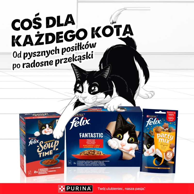 Purina Felix Agail Katzenfutter, Rind, 44 x 85 g