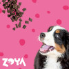 ZOYA ColdPRO Beef Trockenfutter für Hunde, 1 kg