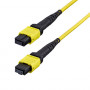 StarTech.com OS2MTP12BOFNP7M MTP/MPO-12 Singlemode-LWL-Patchkabel (7 m), APC