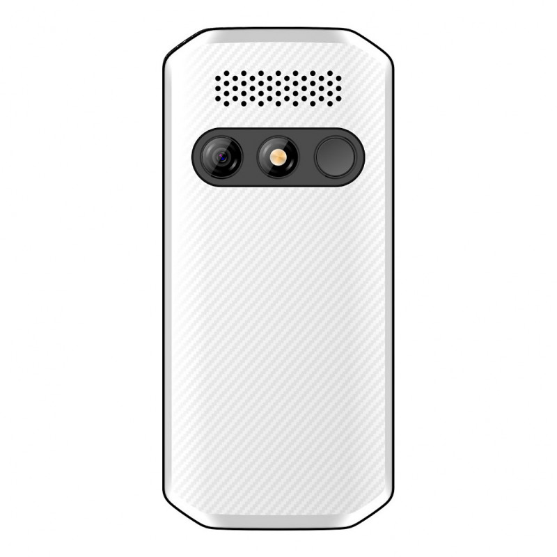 Beafon SL280pro LTE 4G Silver Line Großtasten-Handy, schwarz-weiß