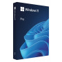 Microsoft Windows 11 Pro BOX, 64-bit, Polnisch, USB-Flash-Laufwerk (HAV-00209)