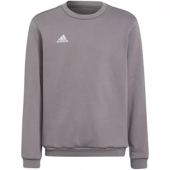 adidas Entrada 22 Sweatshirt Grau Jugend 140 cm