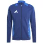 adidas Tiro 24 Competition Herren-Trainings-Sweatshirt Team Royal Blue