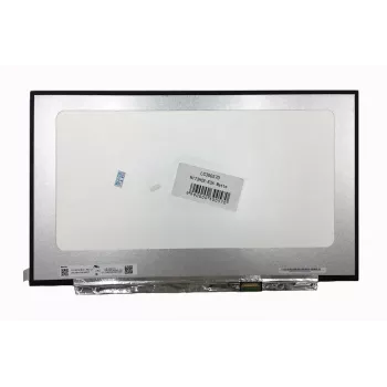 AUO Bildschirm 17,3 Zoll, 1920x1080, 60Hz, matt, 30-Pin, rechts, IPS