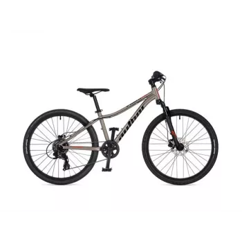 Author A-Matrix 24D 24-Zoll-Kinderfahrrad, Titanium Matte/Black Matte, 2026