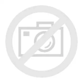 BOSCH GMP 1-13 Feuchtigkeitsmessgerät 601078000
