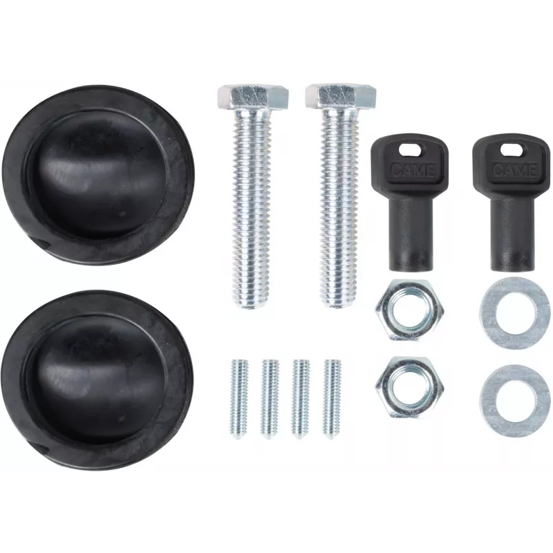 CAME BXV 10 PLUS TOP Set für Schiebetore bis 1000 kg (8K01MS-043)