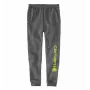 Carhartt Graphic Jogger Jogginghose