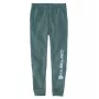 Carhartt Graphic Jogger Jogginghose