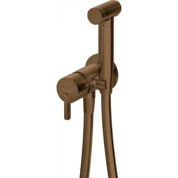 DEANTE Unterputz-Bidetmischer mit Bidetta-Handbrause, Chrom