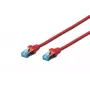 DIGITUS CAT 5e SF/UTP Patchkabel 0,5m Grau