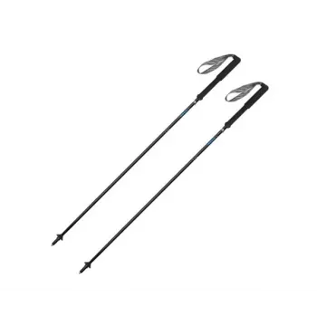 Gabel Carbon Feather-R Skistöcke 110 cm