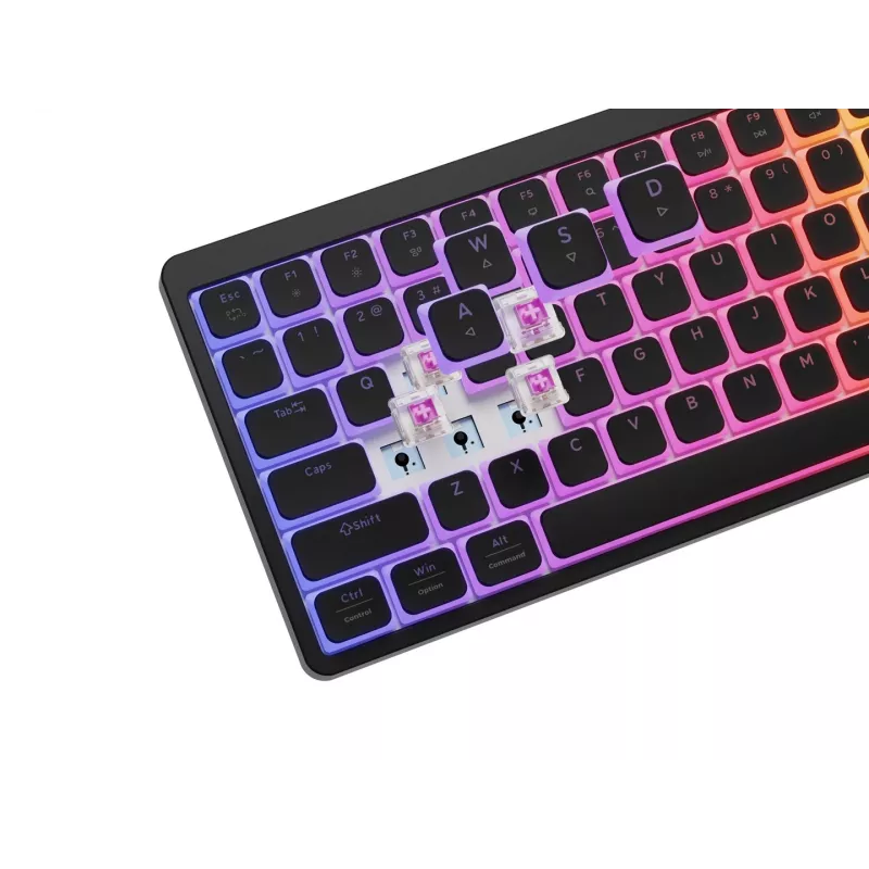 GENESIS Thor 430 TKL Mechanische Gaming-Tastatur RGB-Beleuchtung US-Layout Schwarz