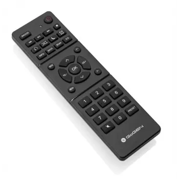 GoGen IR 257 BTDAB Internet Digital Silber