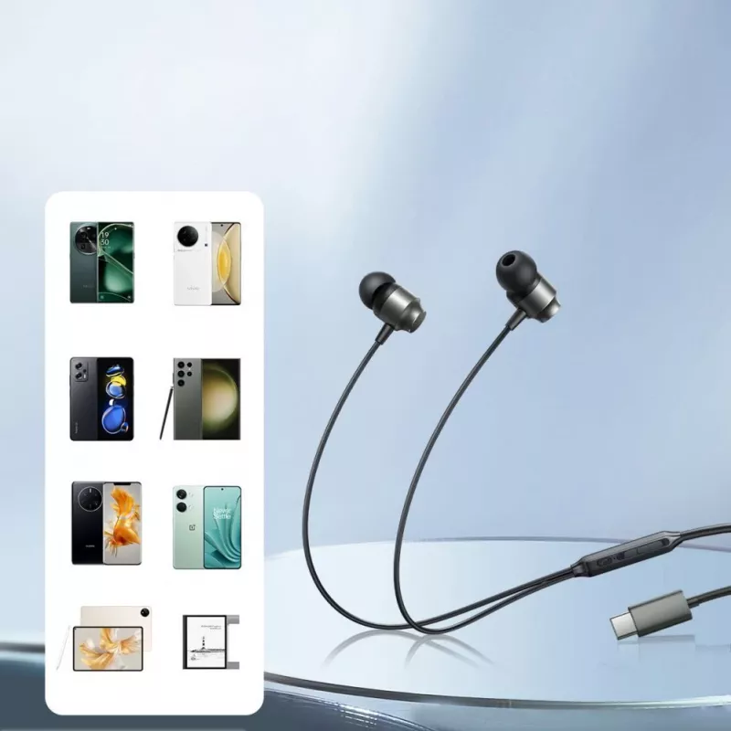 Joyroom JR-EC06 kabelgebundene In-Ear-Ohrhörer mit Fernbedienung und Mikrofon, USB-C, grau
