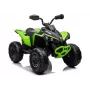 LEAN CARS Elektrisches Quad CAN-AM Renegate Grün