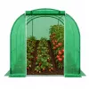 LEAN Foliengewächshaus-Tunnel PRO mit 25-mm-Rahmen 12x3x2 m 36 m²