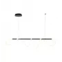 Tigris Long Pendelleuchte LED, 4000K, Schwarz
