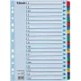 Esselte A4 Mylar A-Z Register, 20-teilig, mehrfarbig (100167)