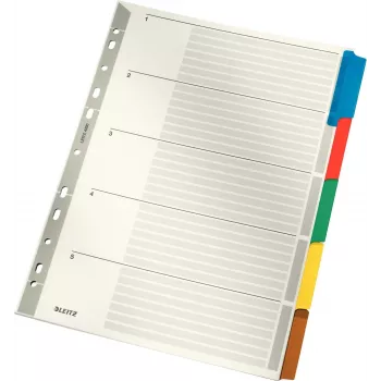 LEITZ Mylar Karton-Register, Blanko, A4, 5-teilig, graue Taben, 160 g/m², mit beschriftbarem Deckblatt 4320-00-00