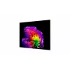 LG OLED77G61LW 77 Zoll 4K OLED evo Gallery Smart TV