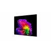 LG OLED83G61LW 83 Zoll OLED evo 4K Smart TV (webOS 23, α9 AI-Prozessor Gen6, Dolby Vision/Atmos, 120Hz, G6 Gallery Design)
