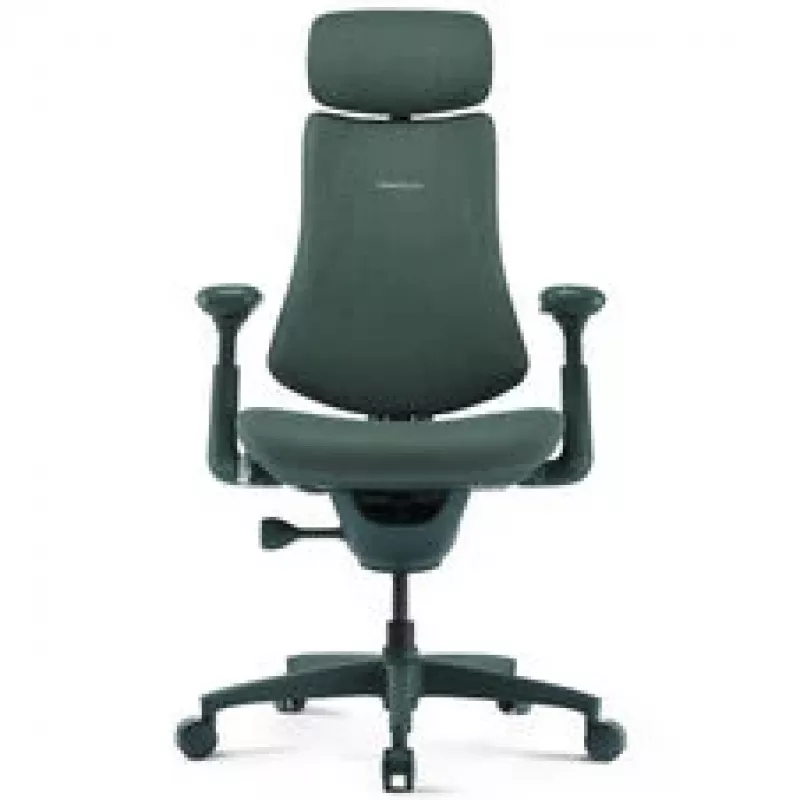 LiberNovo Omni Ergonomischer Bürostuhl mit aktiver Lendenwirbelstütze und Massage - Grün