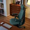 LiberNovo Omni Ergonomischer Bürostuhl mit aktiver Lendenwirbelstütze und Massage - Grün