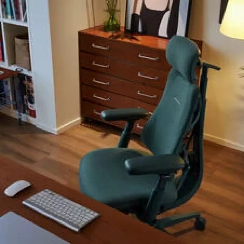LiberNovo Omni Ergonomischer Bürostuhl mit aktiver Lendenwirbelstütze und Massage - Grün