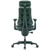 LiberNovo Omni Ergonomischer Bürostuhl mit aktiver Lendenwirbelstütze und Massage - Grün